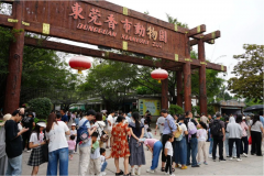 寮步双节文旅融合绽