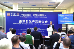 东莞制造闪耀红宝石