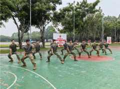 迷彩熔炉：四镇淬炼