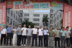 蛤地荔枝集市爆单！