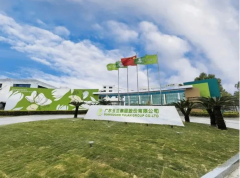 玉兰壁纸巨擘破茧 