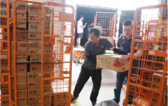 东莞荔枝专线提速冷