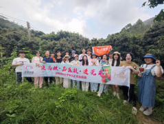 高铁载来盛夏客 东莞