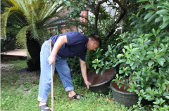 横沥企业每日消杀筑牢防蚊屏障