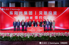 东阳光科技控股股份