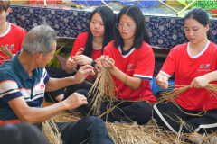 东莞非遗“舞草龙”