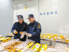 东莞港迎来年内第三