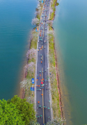 松山湖全民健身步道（北环线）全新贯通，为市民游客提供新休闲去处