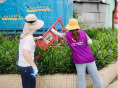 东莞多镇街开展爱国