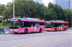 东莞市开通5条免费公