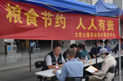 大岭山镇举办“全国