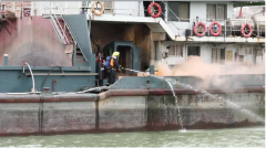 东莞市成功举行2025年