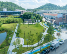 桥头镇朗厦村“会动