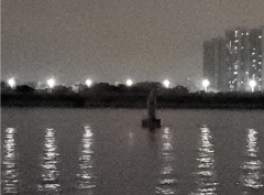 沙田大桥航标灯熄灭