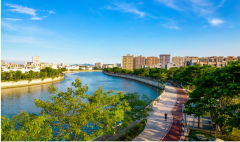 莞深协同立法共护茅