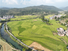 粤北黄圃镇400亩优质