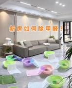 新房入住除甲醛好方